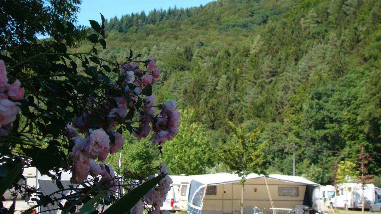 Camping Wies-Neu Dillingen Luaran gambar
